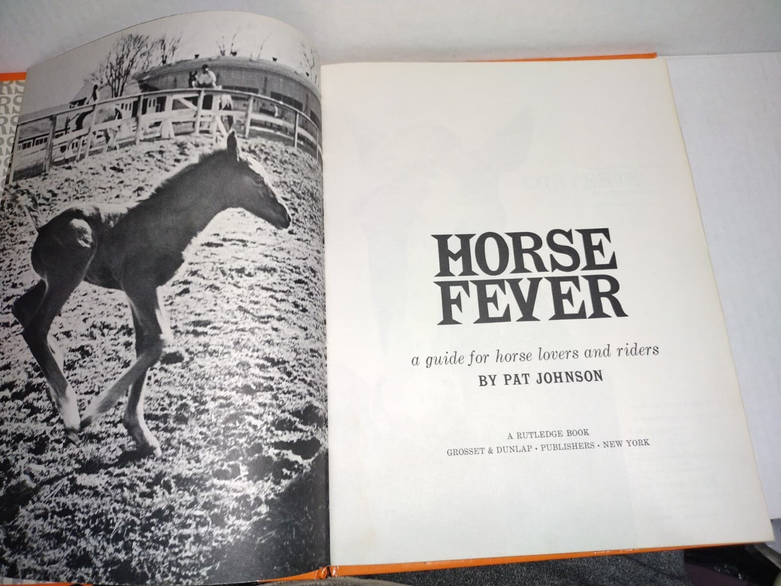 Horse Fever Guide for Horse Lovers and Riders Pat Johnson 1962 Showing Book 4