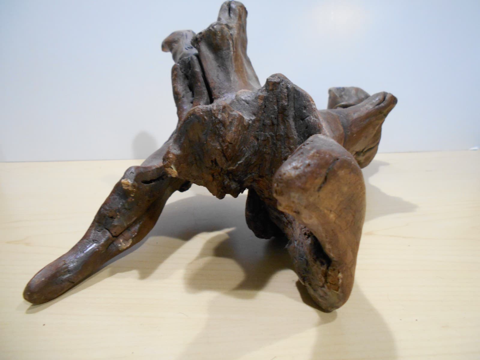 Driftwood Medium Aquarium Habitat Terrarium Orchid Mounting Planter Bonsai Wood 5