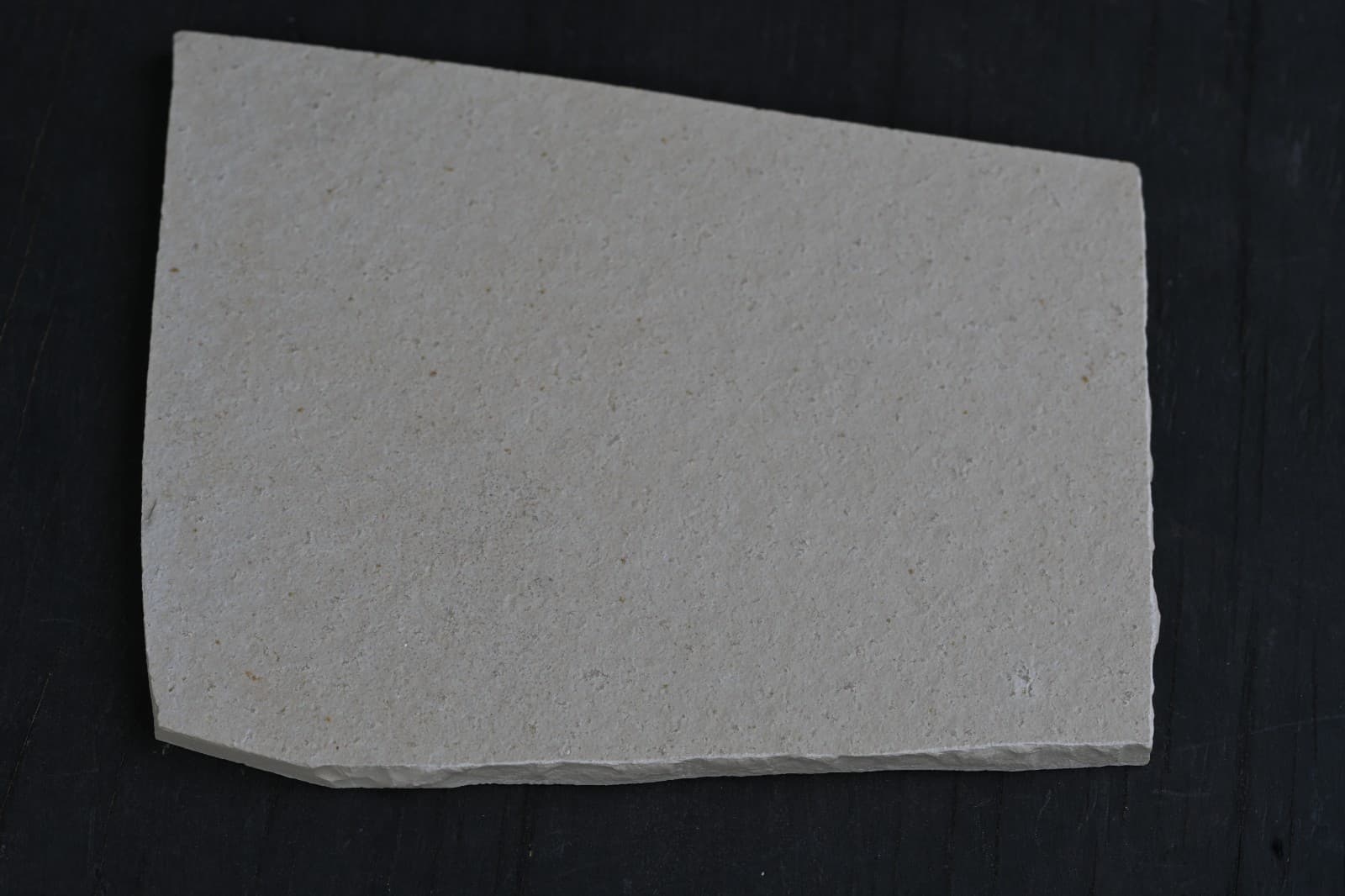 Solnhofen Fossil Shrimp- Antrimpos 6