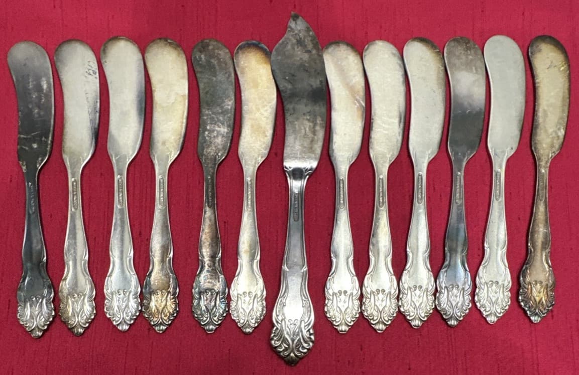 13 Pc TIGER LILY Silverplated  1 MASTER BUTTER &  12FLAT SPREADERS Reed & Barton 3