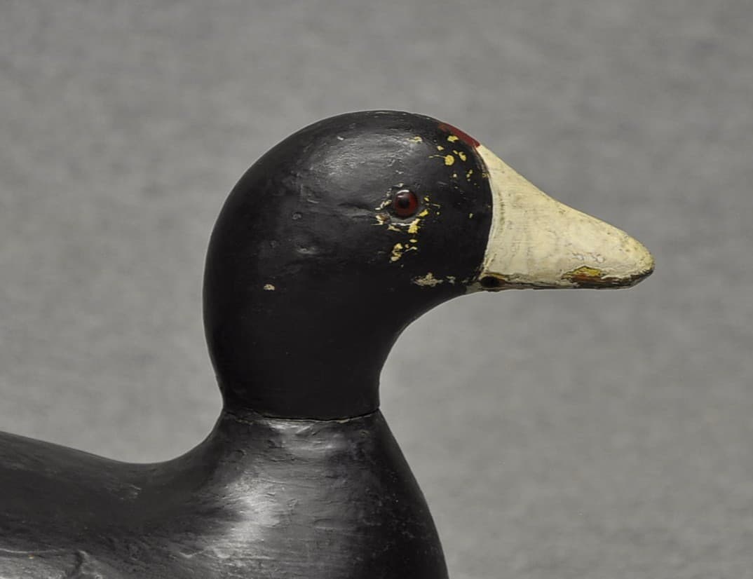 EVANS COOT DECOY DUCK DECOY NICE LINES HUNTER'S PAINT GLASS EYES CHIP IN TAIL 4
