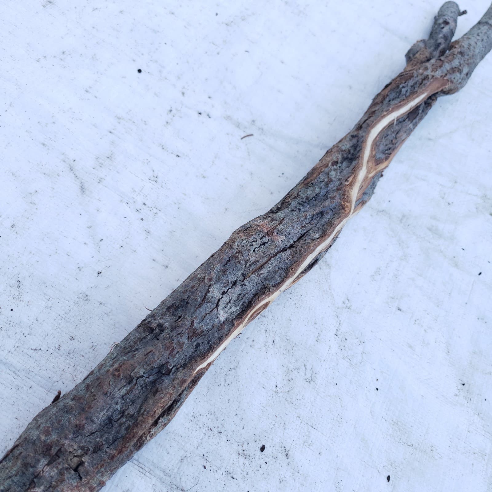 49" Diamond Willow Carving Wood Blank Walking Stick Trekking Staff 3