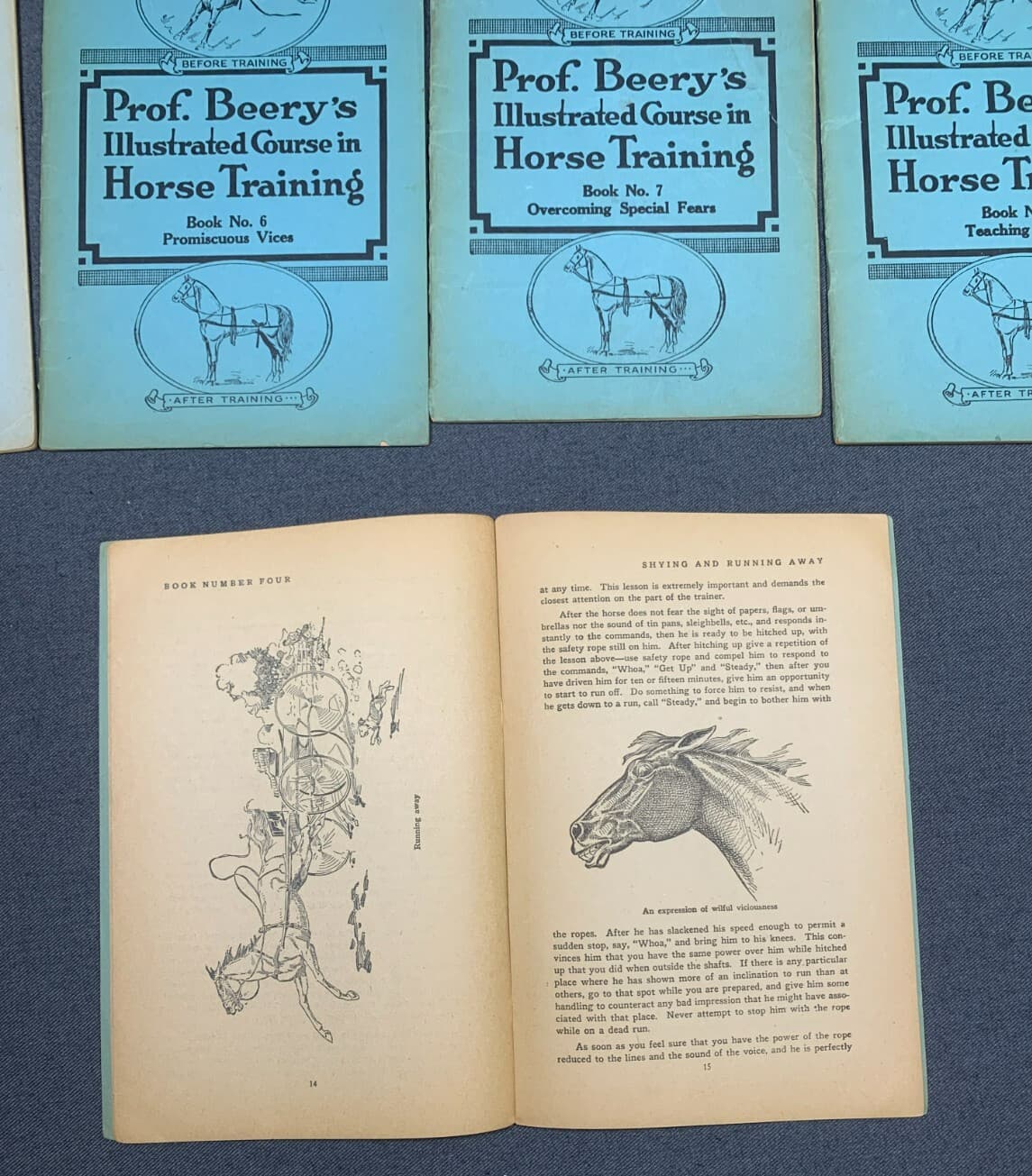 Set PROF BERRYs Illustrated Course Horse Training Booklets Instructions 1944 2