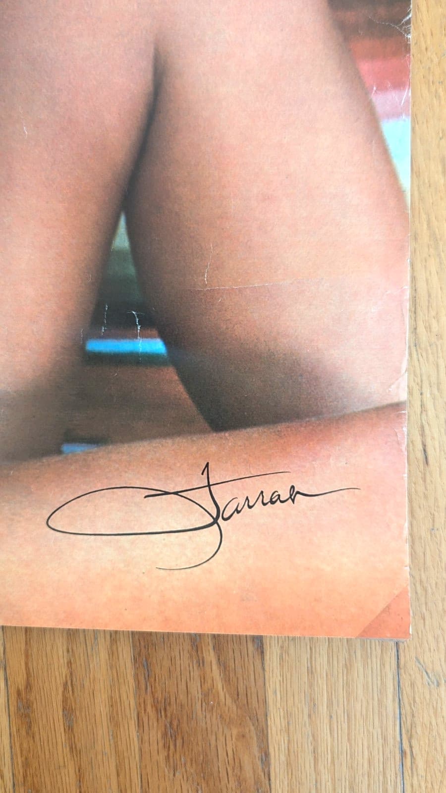 FARRAH FAWCETT ORIGINAL 1976 PRO ARTS ICONIC PIN UP POSE POSTER $25 5