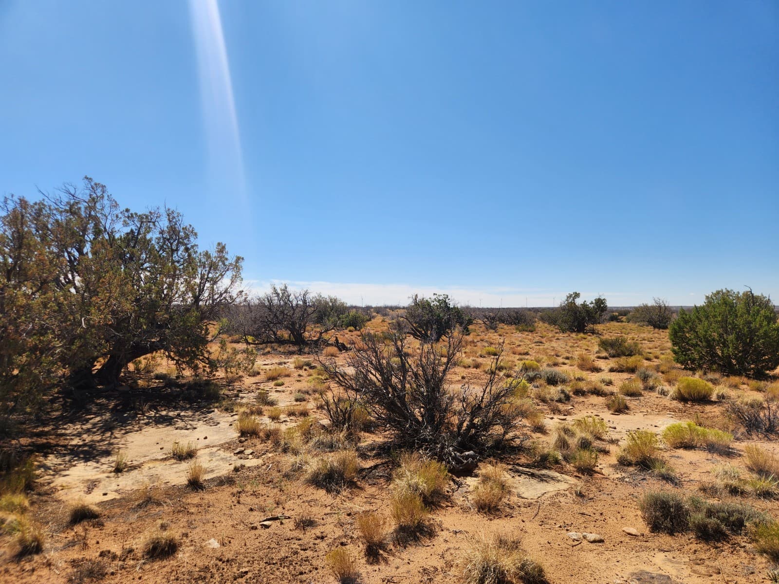 36 Acres Chevelon Canyon Ranch, Heber, AZ. Road Access, Well Water, Trees, Views 2