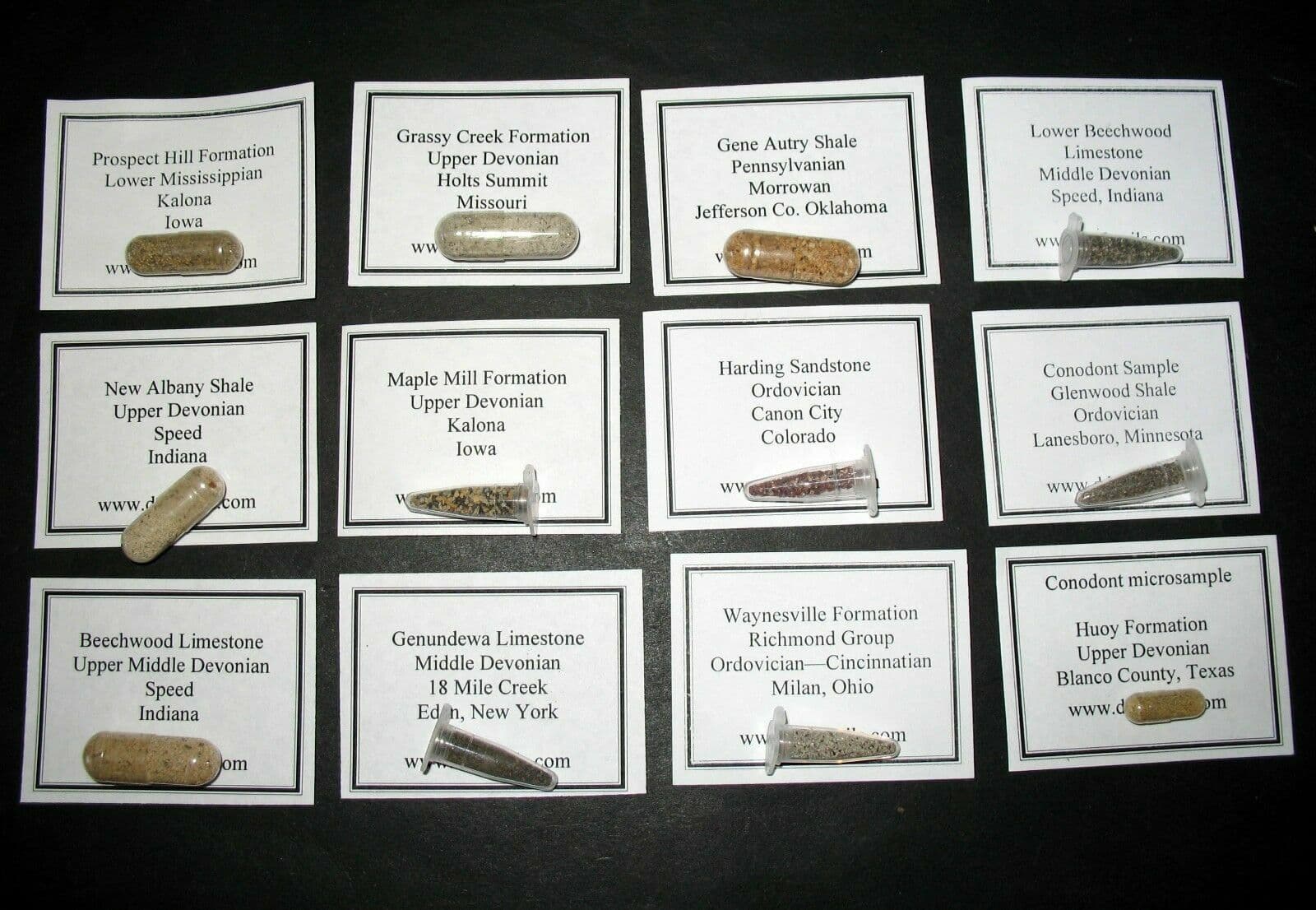 Ordovician to Pennsylvanian Conodont fossil matrix collection 12 samples 2