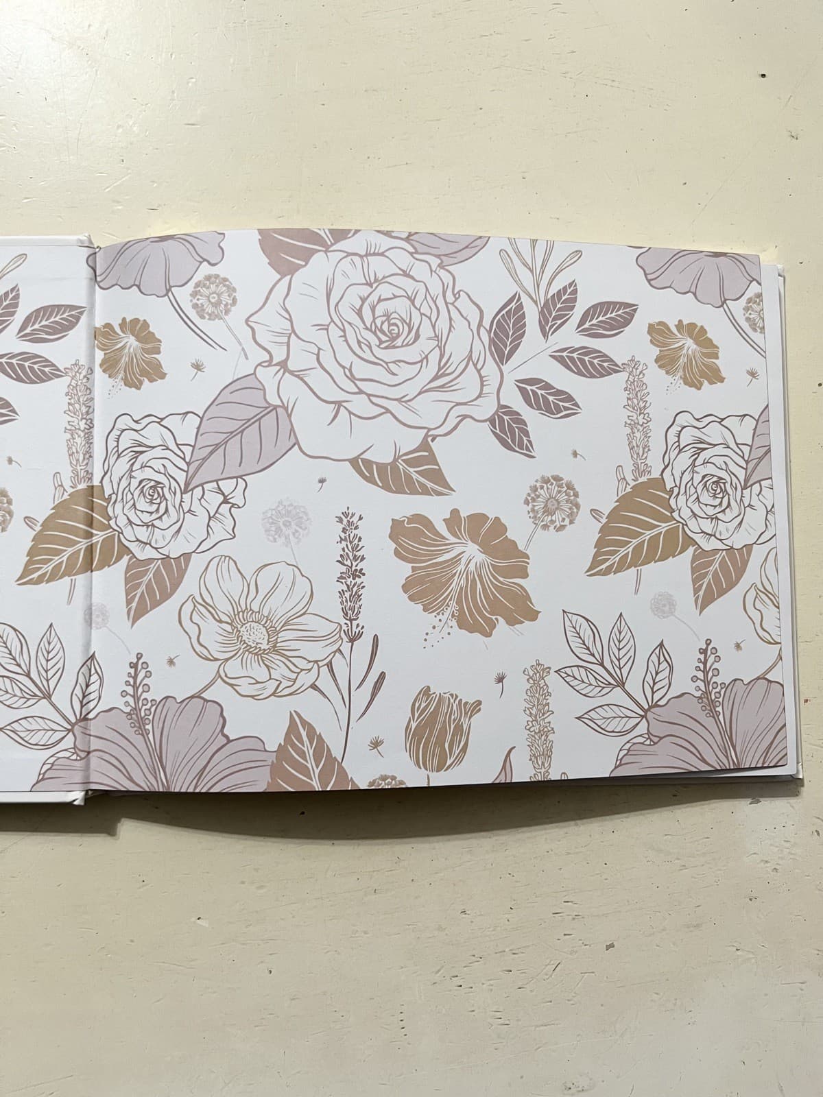 Lacunas Store Gold Leaf Guest Book Brand New! 3