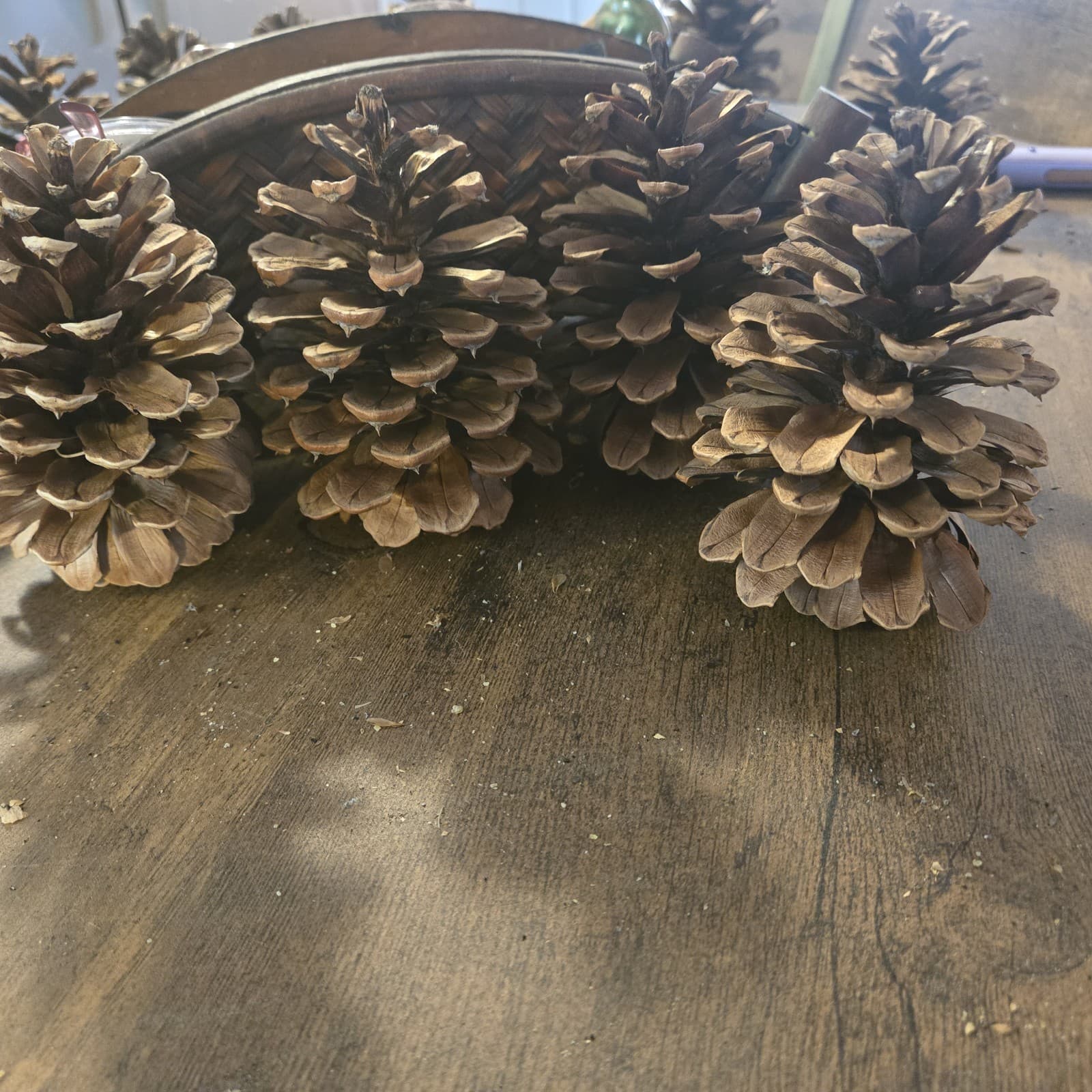 4 Nice Big Ponderosa Pinecones Over 5 Inches Washed And Oven Dried. 6 Ounces. 6