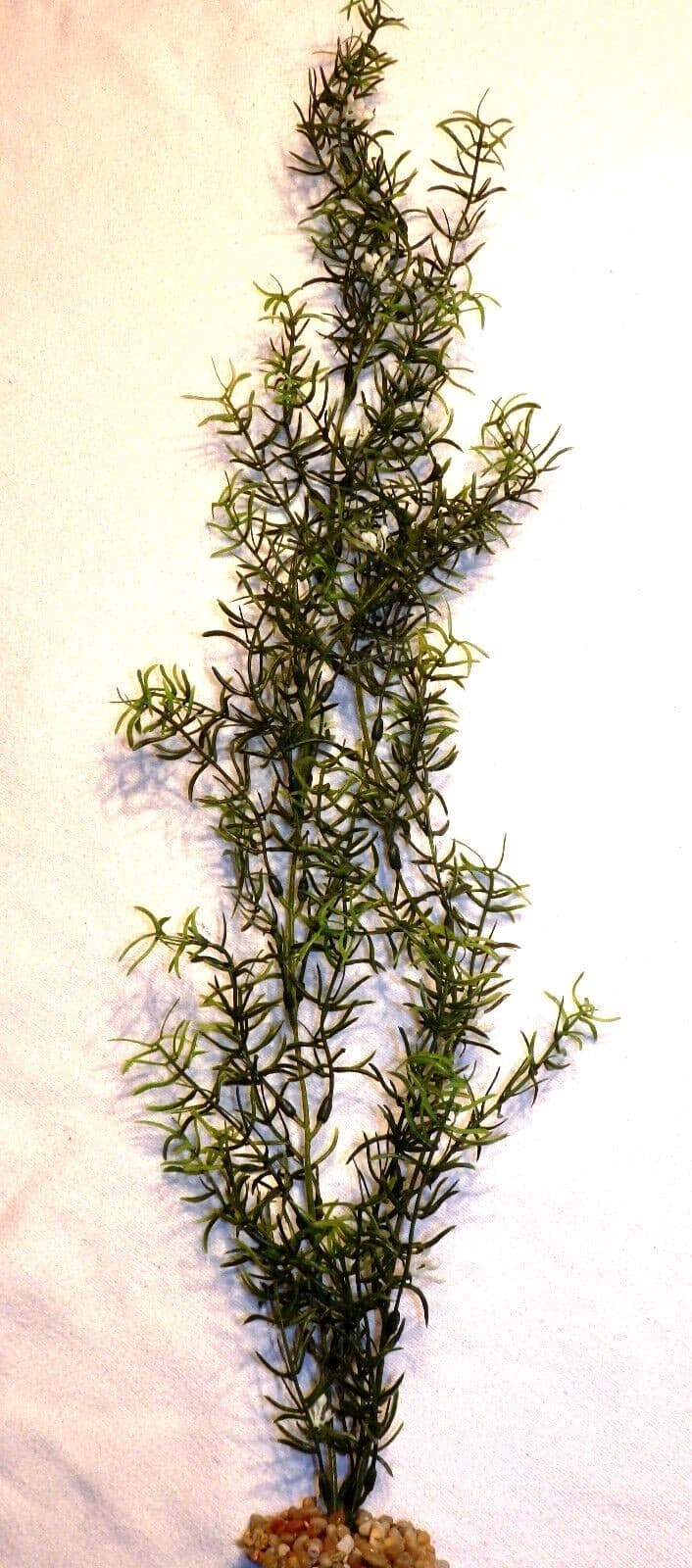 27 in. LG Standard 2-stem DITI-SPRENGERI Flowered Soft Plastic Wireless Plant, S