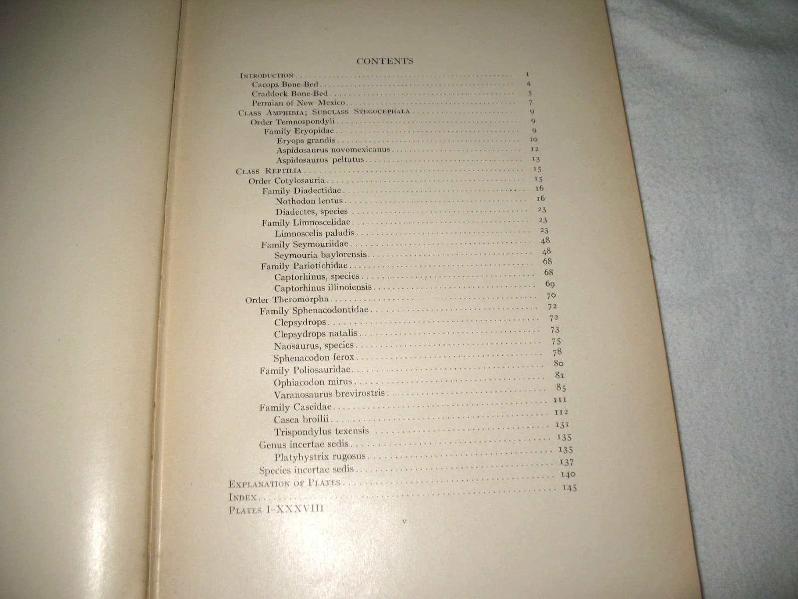 American Permian Vertebrates Williston 1911 Original HB Book excellent fossils 3