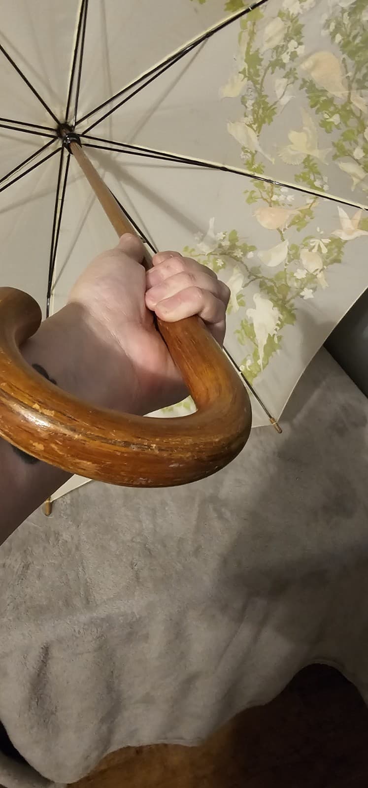 Rare 1988 Nylon The Nature Company Bird Umbrella Vintage Works Wooden Handle 5