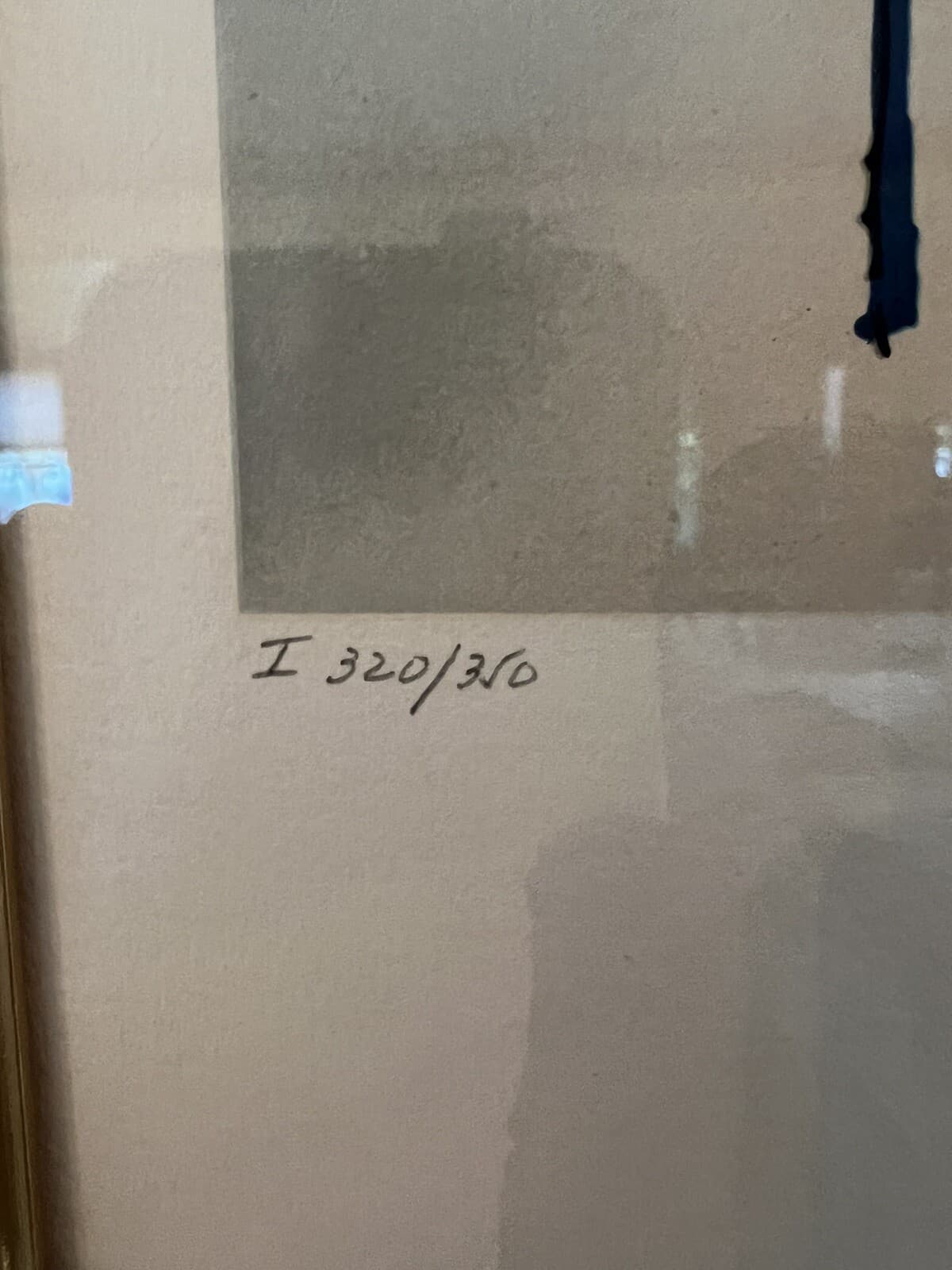 Salvador Dali Hand Signed Framed Lithograph “Ballet of Flowers” #320/350 4