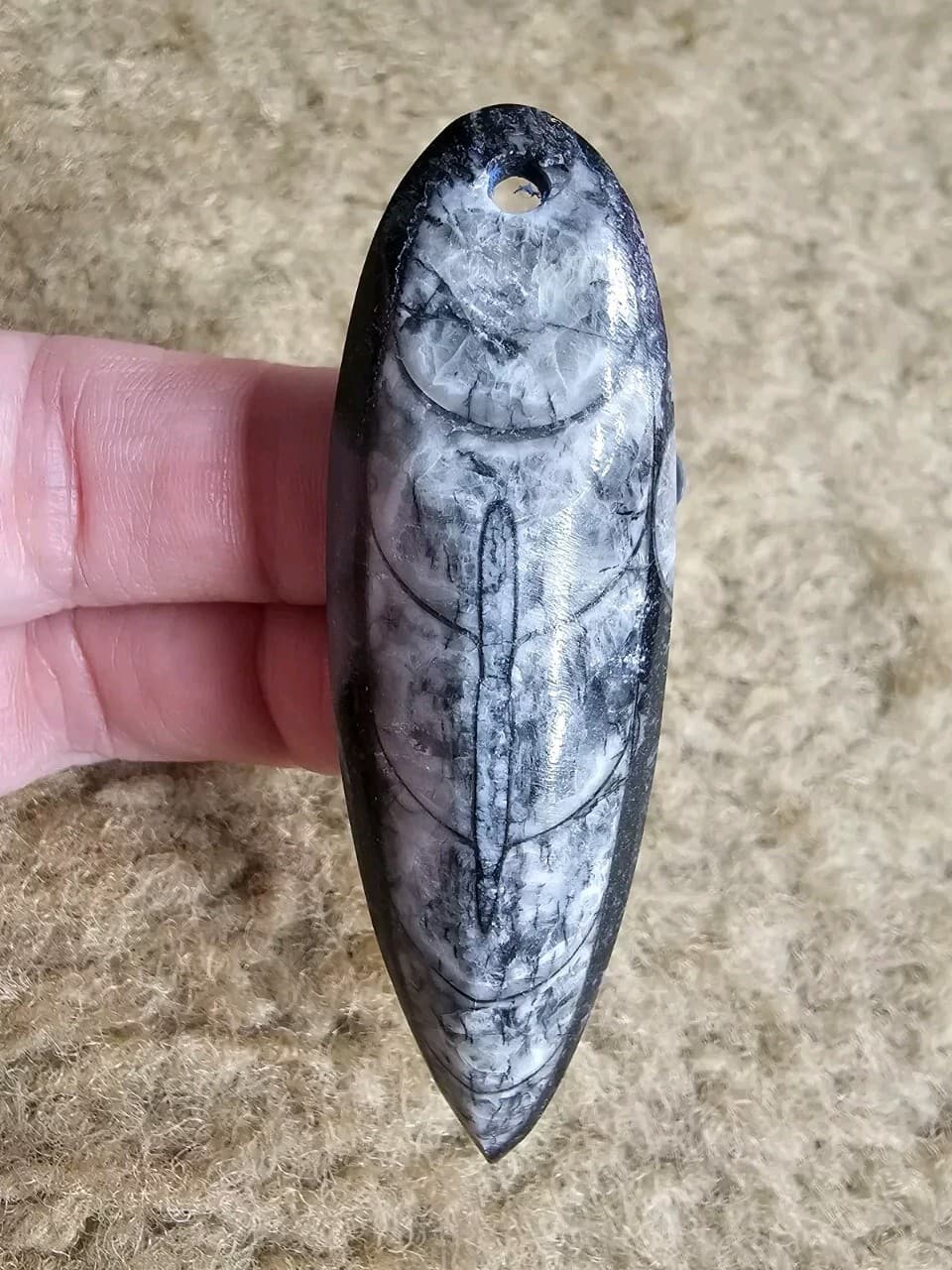 Orthoceras Focal Pendants, Polished Drilled Fossil, Nature Jewelry, Metaphysical 4