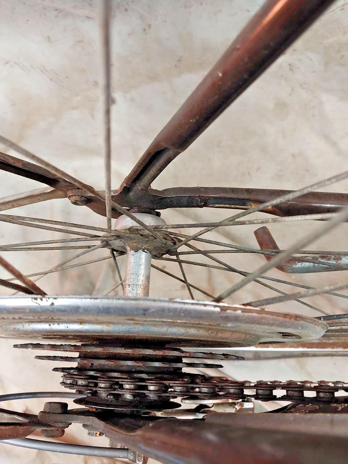 1972 Schwinn Collegiate Cruiser Bike 19.5" Large 5 Speed Steel USA Made StepThru 6