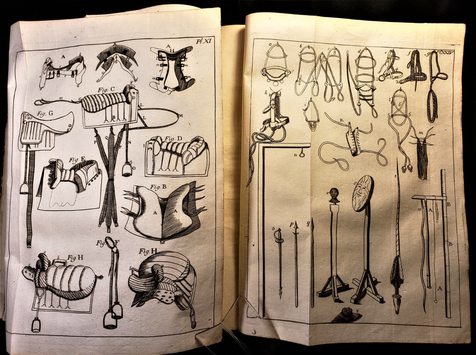 1771 THE NEW PERFECT MARSHAL BY GARSAULT - Horse Diseases, Cure and Equestrian 6