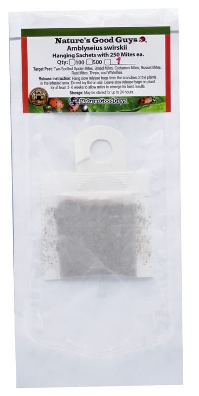 Slow Release Sachet - Amblyseius Swirskii - Predatory Spider Mite Control 3