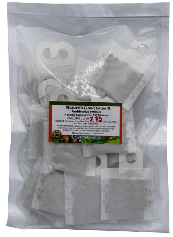 Slow Release Sachet - Amblyseius Swirskii - Predatory Spider Mite Control 5