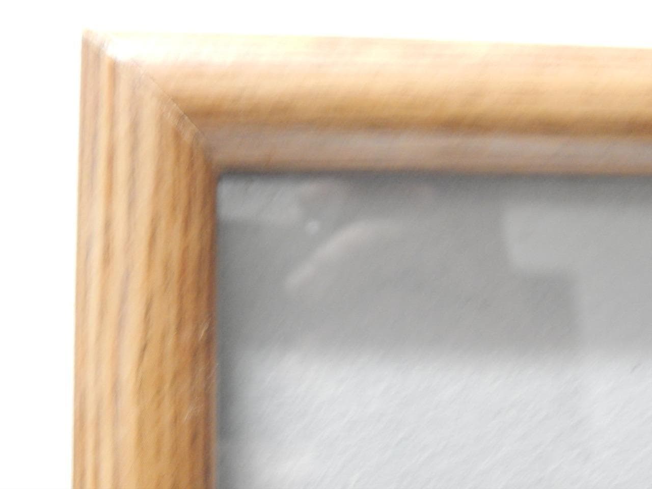 T. POOLEY ASA SIGNED BISON BUFFALO WESTERN INDIAN DSGN WATER COLOR PAINTING 6