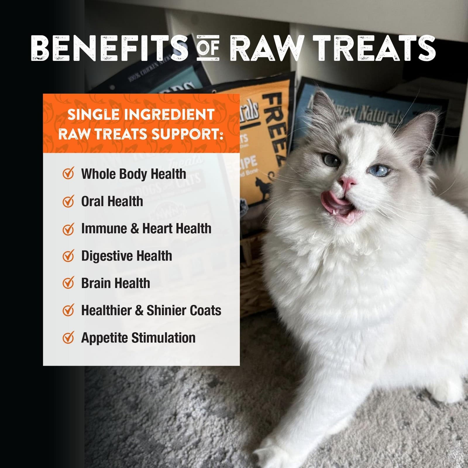 Northwest Naturals Raw Rewards Freeze-Dried Salmon Treats for Dogs and Cats -... 5