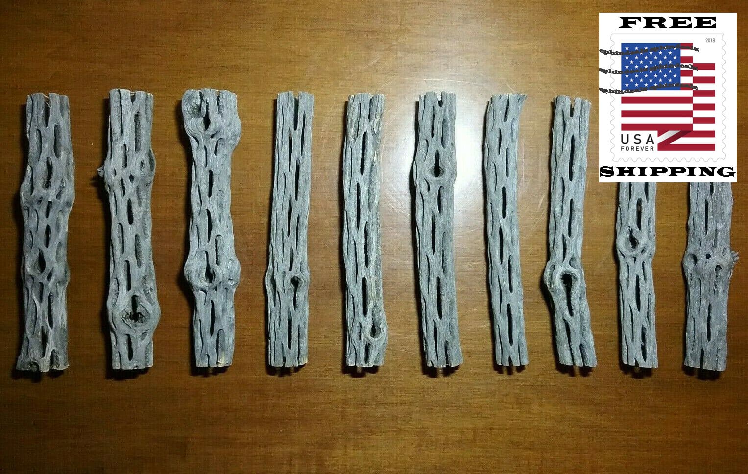 10 pcs 6" CHOLLA Wood Cactus | Organic | Shrimp Fish Aquarium | Decoration Craft