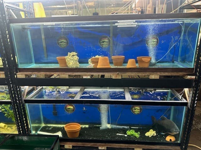 USED 125 GALLONS FISH TANK AQUARIUM 3