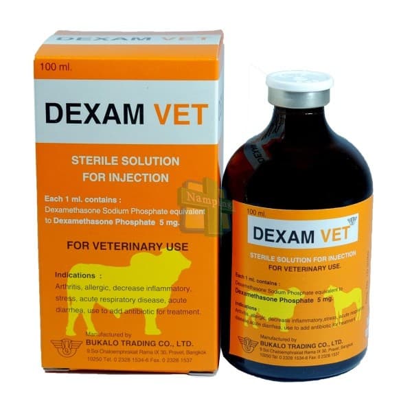 Dexamethasone 5 mg/ml (100 ml bottle)