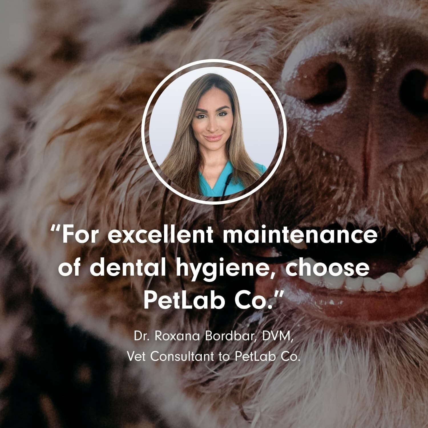 PetLab Co. ProBright Dental Powder Small Dogs Tailored Teeth Cleaning Made Easy 3