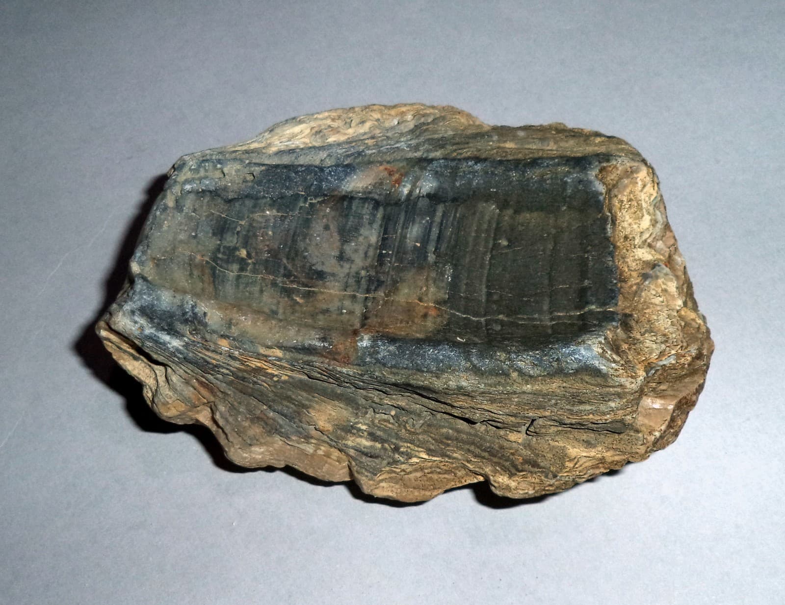 Fossil Sea Shells from Cape of Rodon, Albania. 262 gr; 100 mm. 3