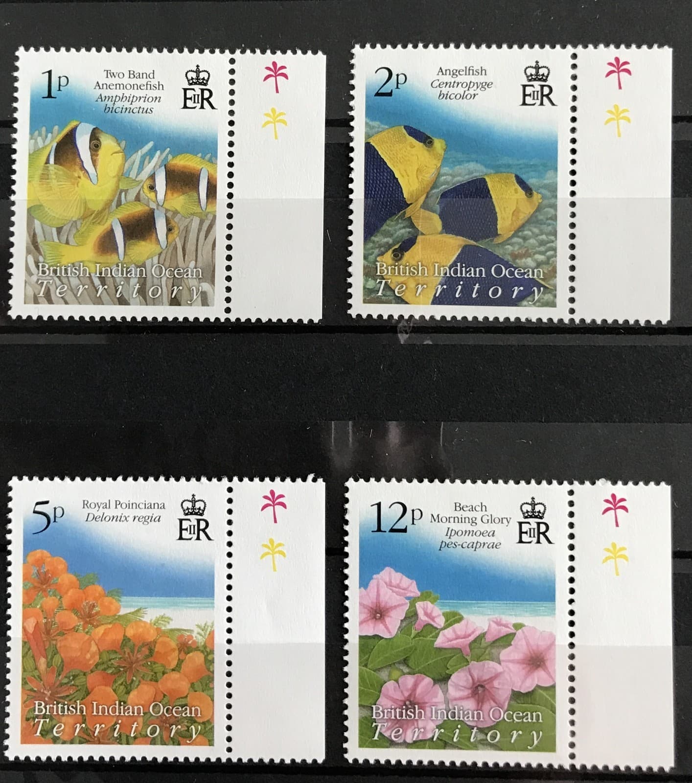 BIOT - 2009 FISH, FAUNA, FLORA & COVES (SHORT SET) NHM SG 414-417