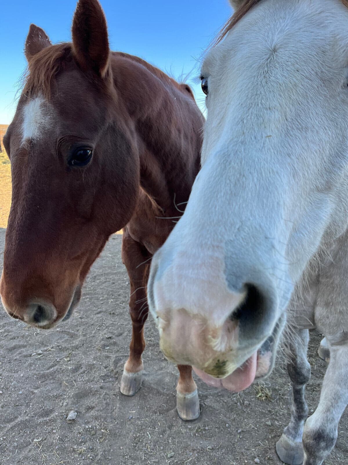 25 Minute Psychic Phone Reading USA