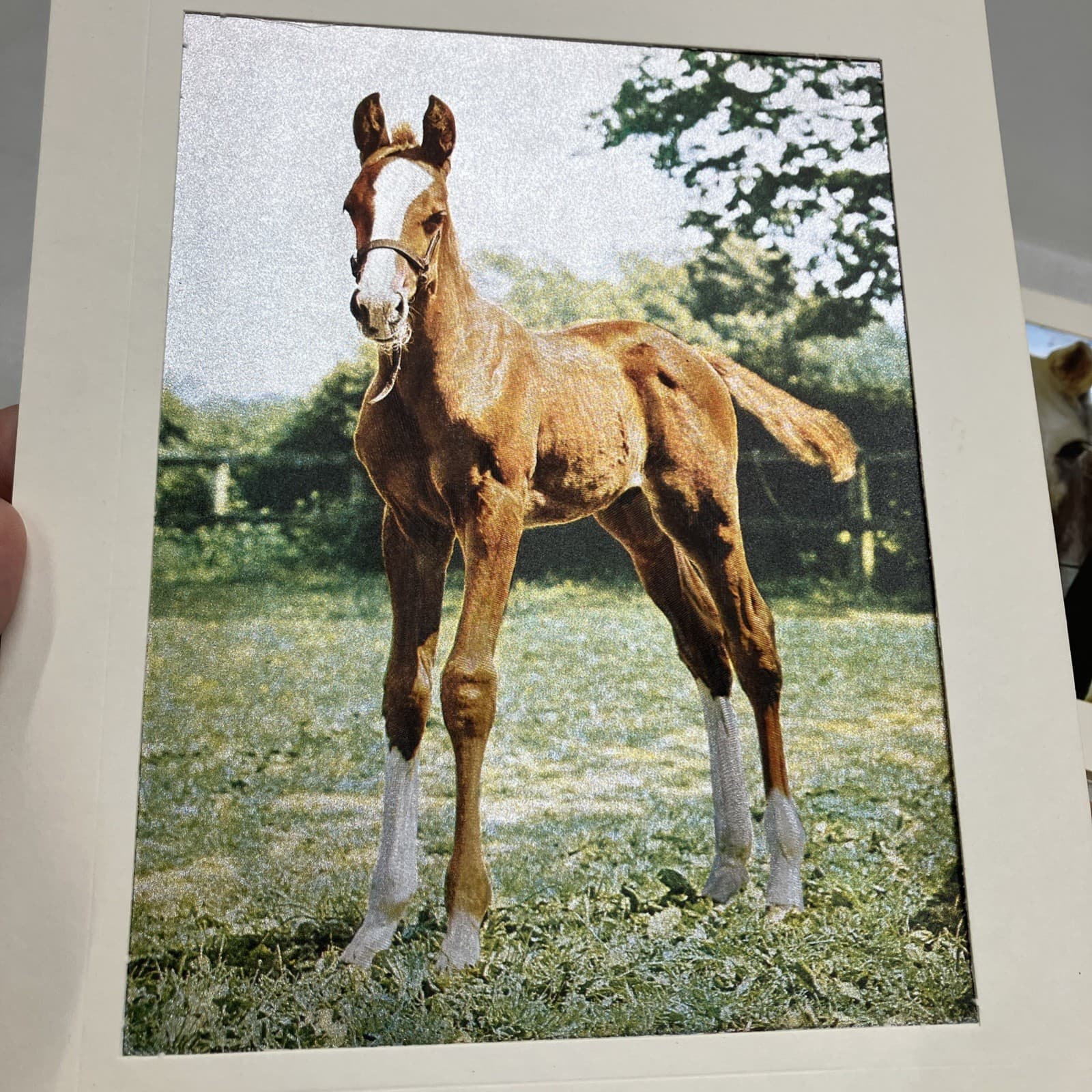 2 Vintage Dufex Foil Prints Horse & Foal 10”x8” Vintage Ponies 6