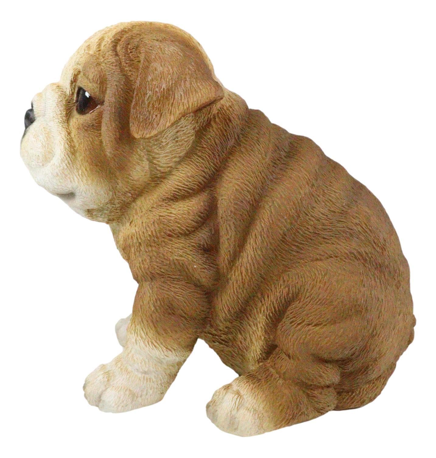 Ebros Lifelike Sitting Adorable Bulldog Puppy Dog Figurine 5"H Pet Pal Puppies 3