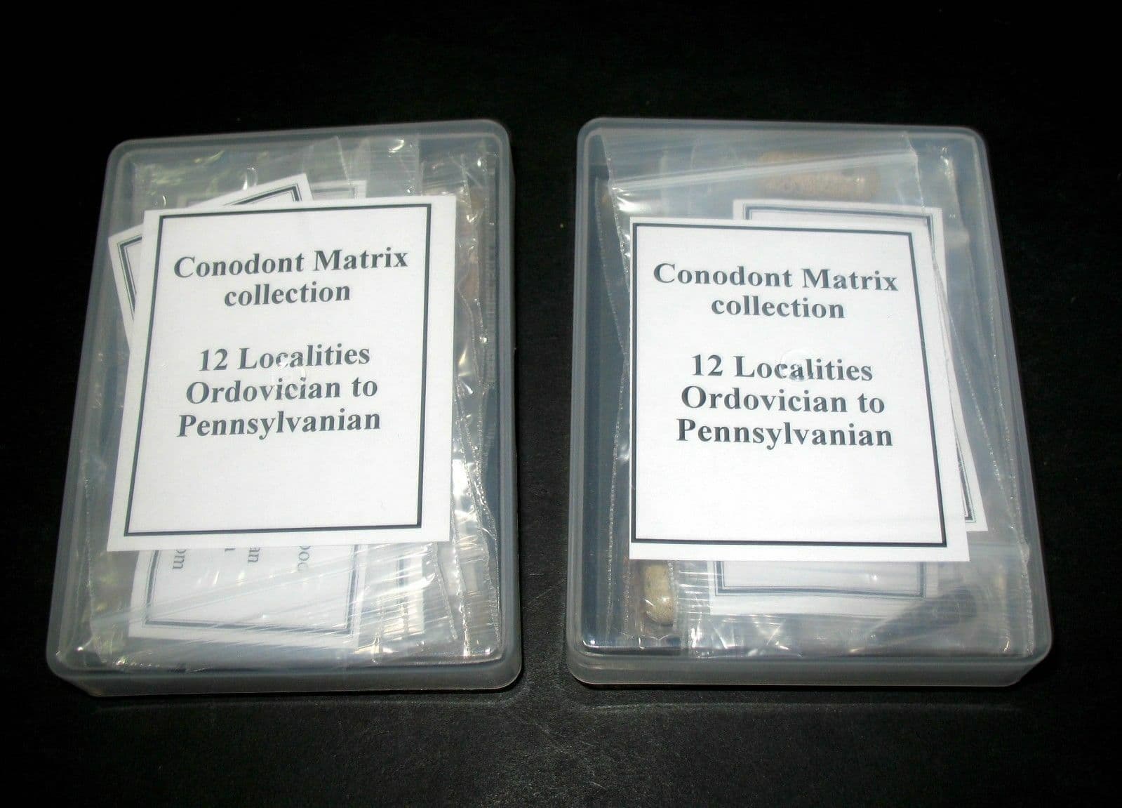 Ordovician to Pennsylvanian Conodont fossil matrix collection 12 samples