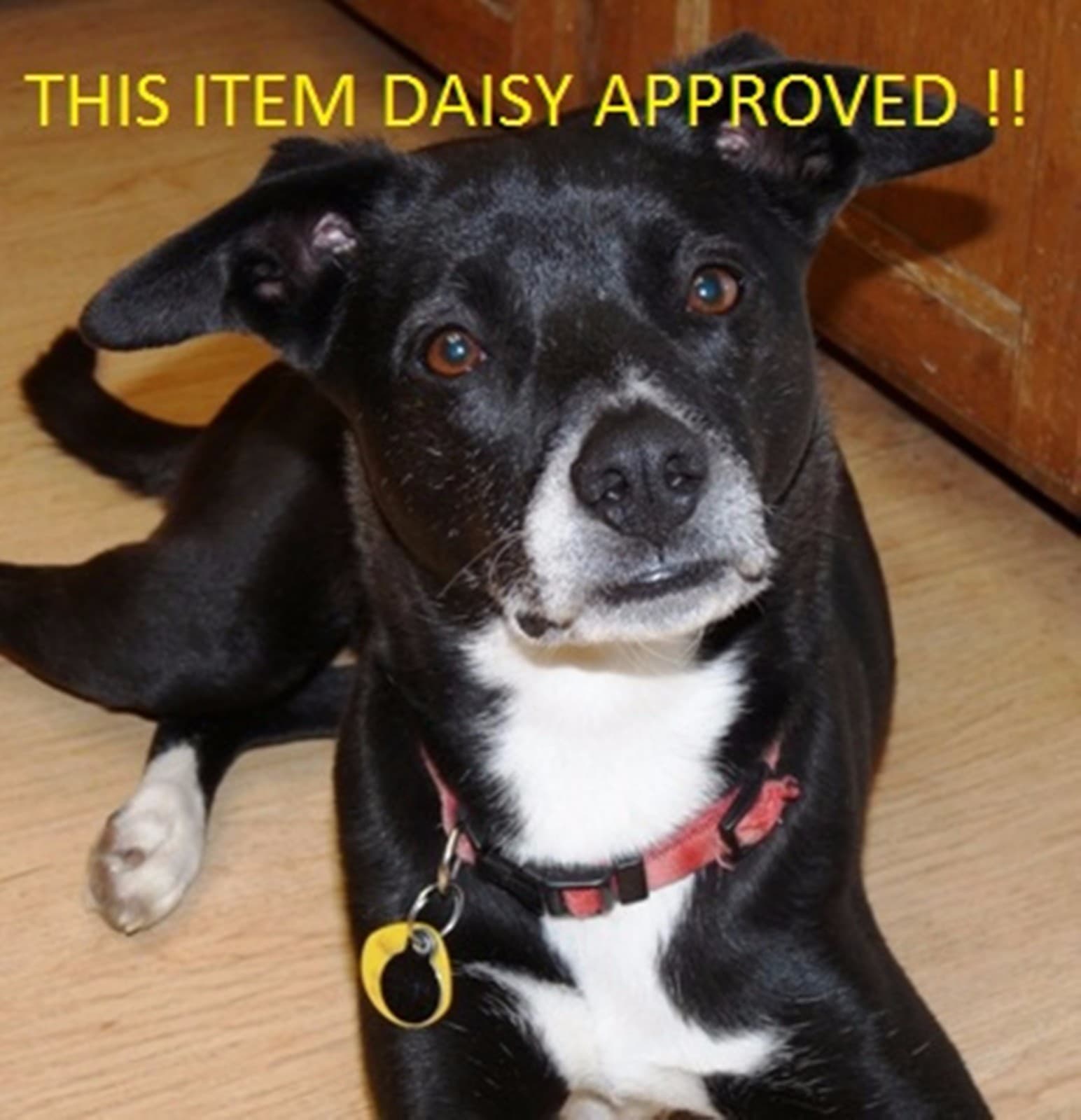 Reed EHTP500 Hydrostatic Test Pump 110V 60 HZ 500 PSI 2GPM 08170 110V 5