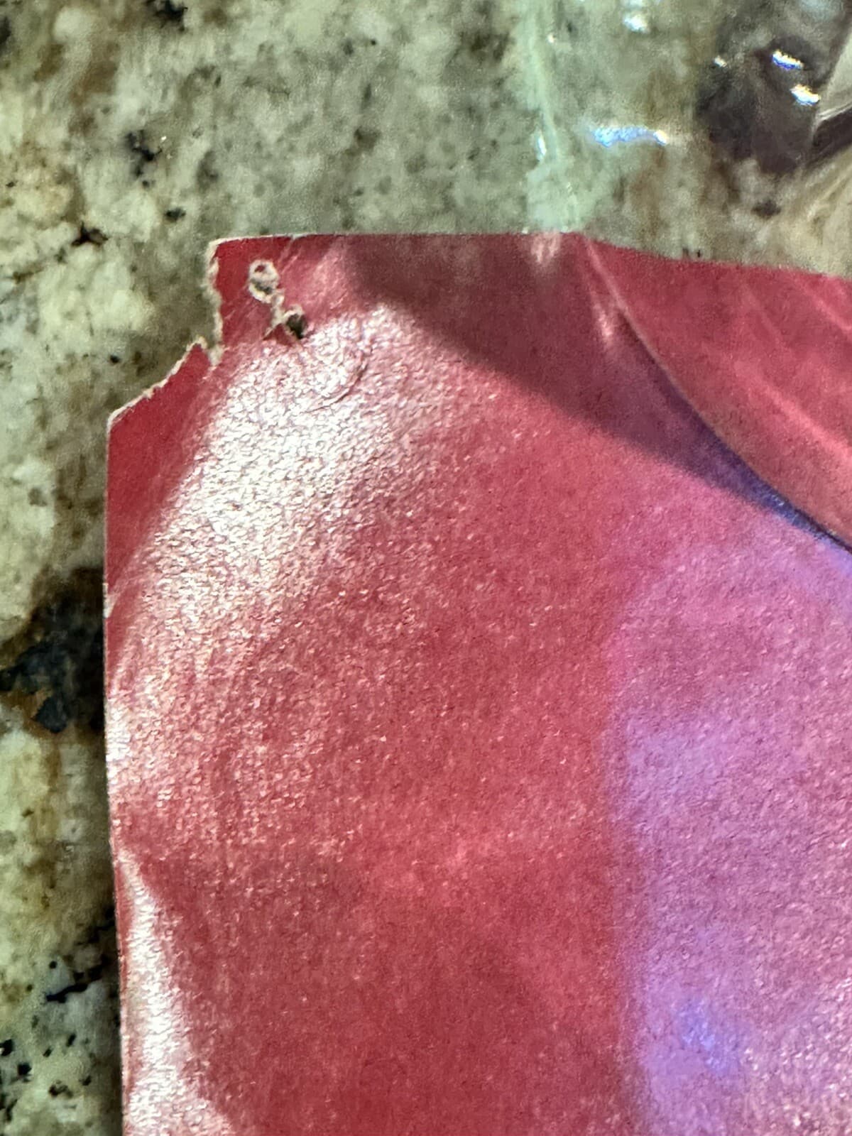 1978 Loni Anderson Sexy Pinup WKRP 70's #60 Vintage Original Poster White Bikini 5