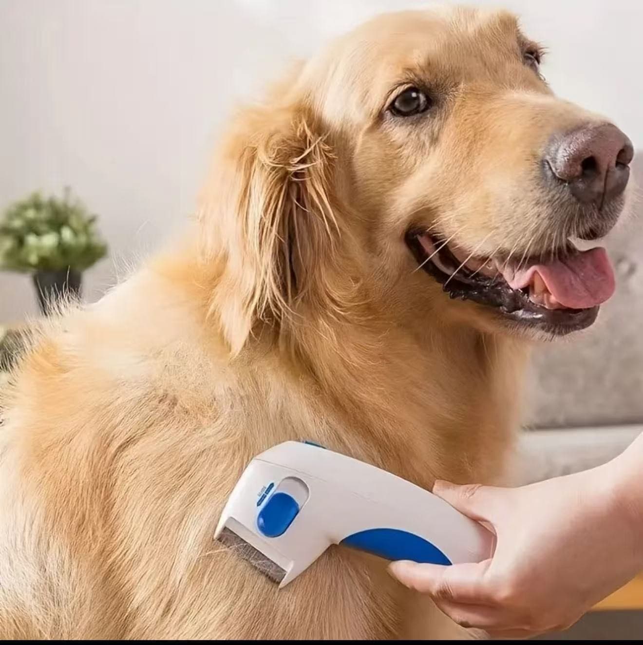  Electronic Flea Comb for Dogs & Cat 3