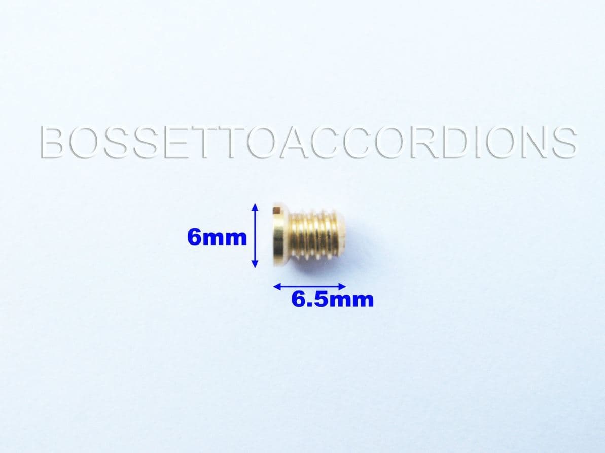 Set of 2 Accordion Grille Decorative Screws 9x15 (mm) Inserts Washers Included 3