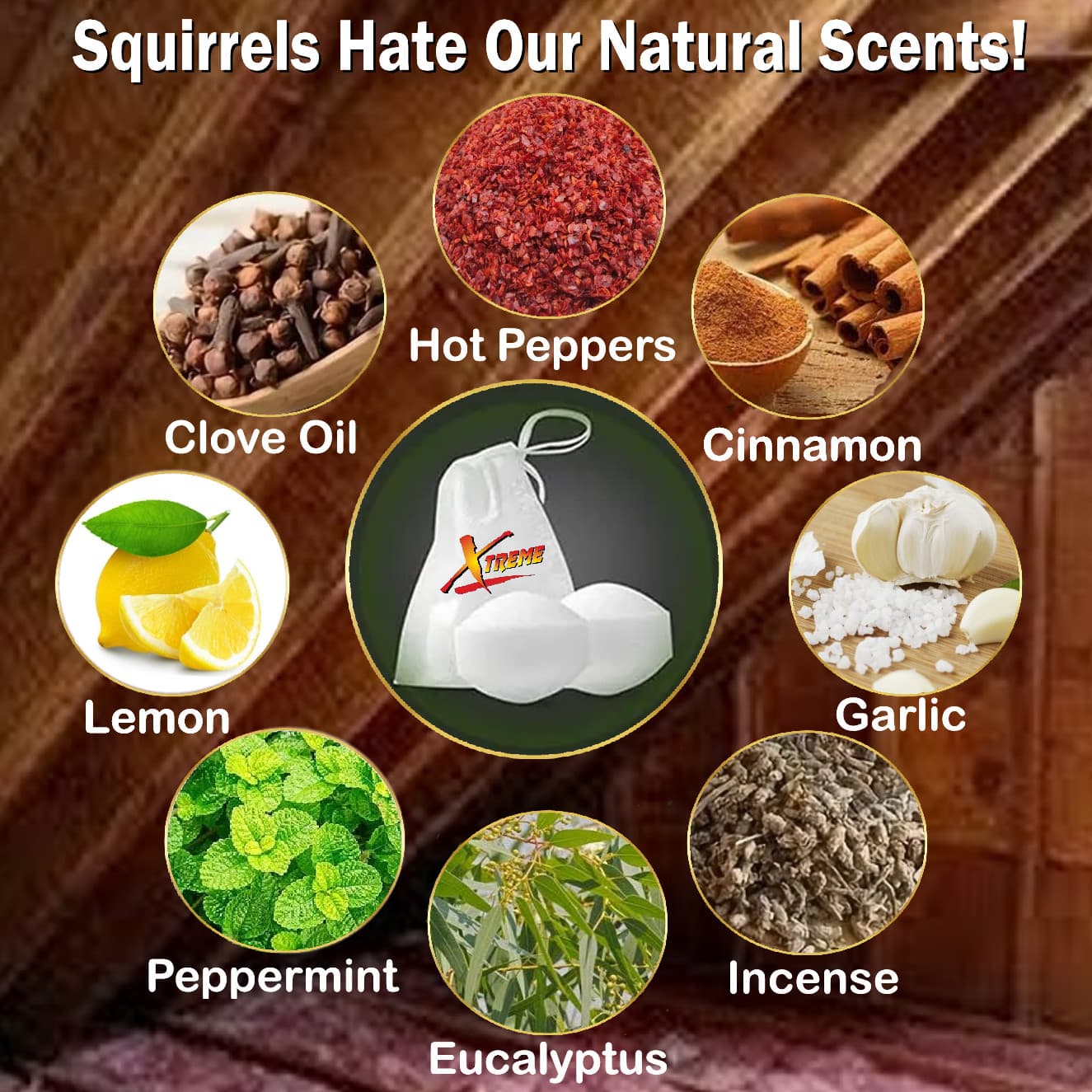 NEW! Attic Squirrel Repellent.  DRIVES SQUIRRELS OUT FAST! 5 PK 2