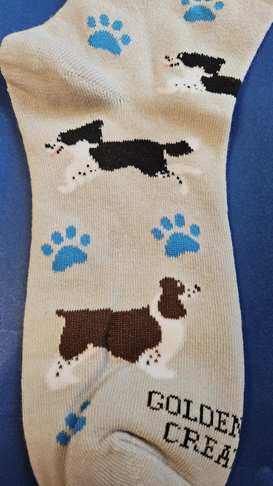 New English Springer Spaniel Puppy Dog Ladies Novelty Socks Free Shipping! 2
