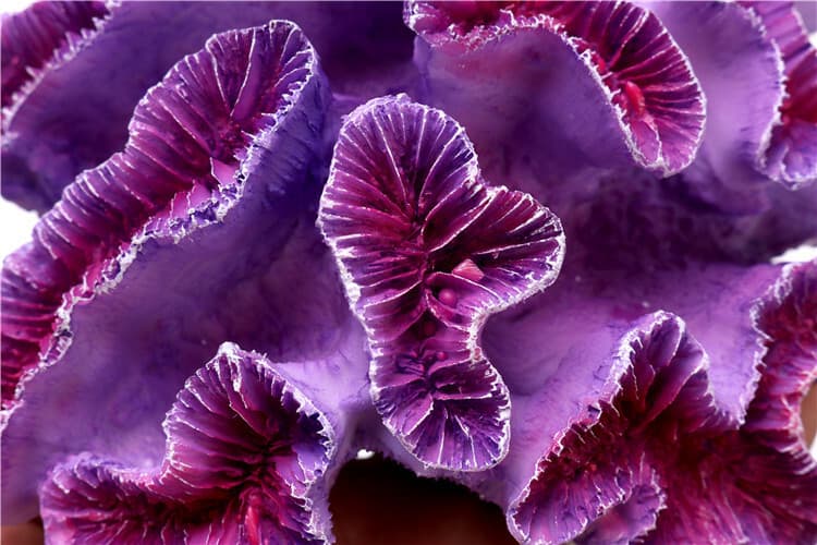 Aquarium Landscaping Simulation Resin Fake Coral Reef Flower Artificial Plant 3
