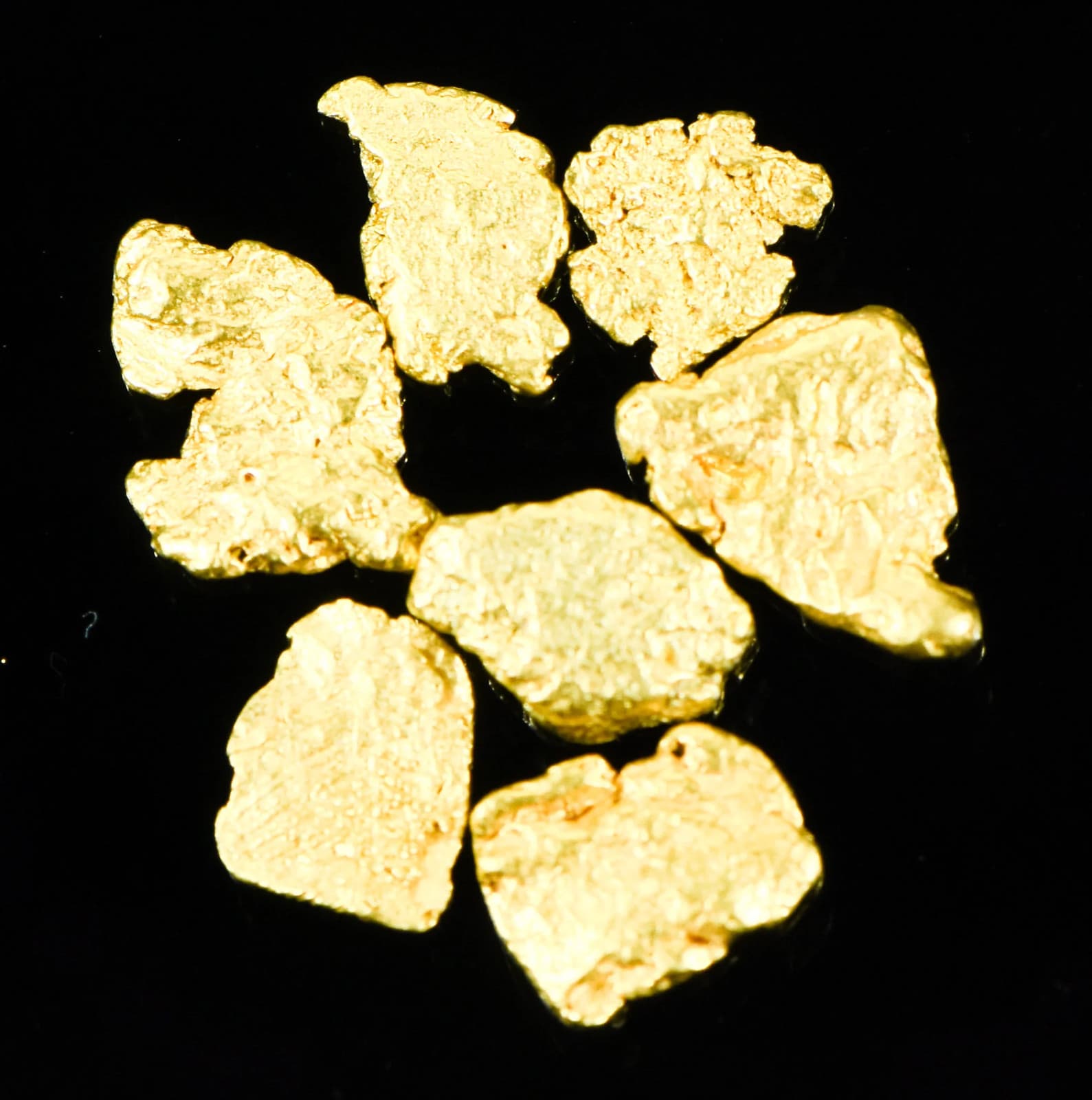 Alaskan Yukon BC Gold Rush Nugge #6 Mesh 1 DWT 1.55 Grams of Fines 1/20 OUNCE 3
