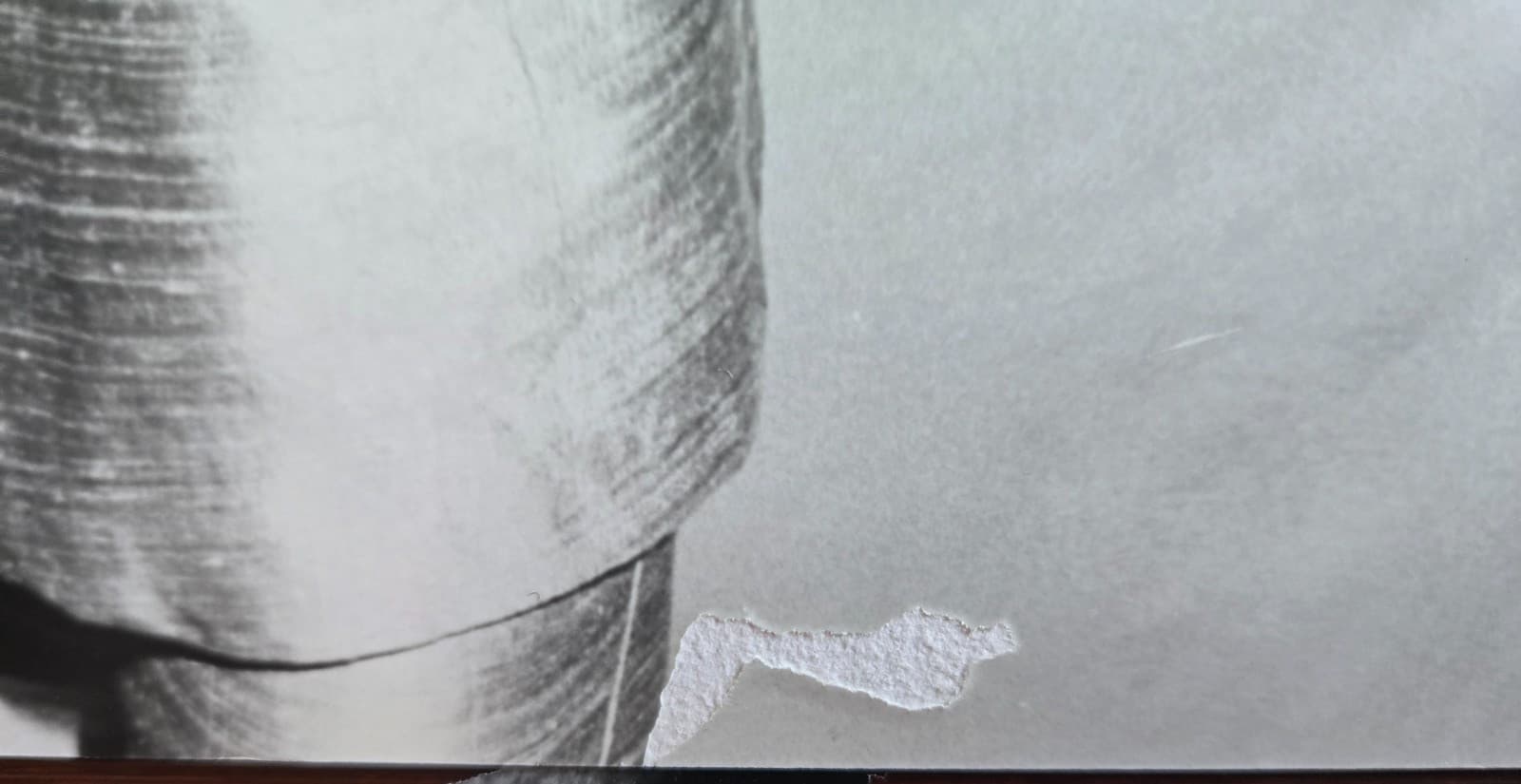 Michael Anthony of Van Halen 1986 7x9 Press Photo 2