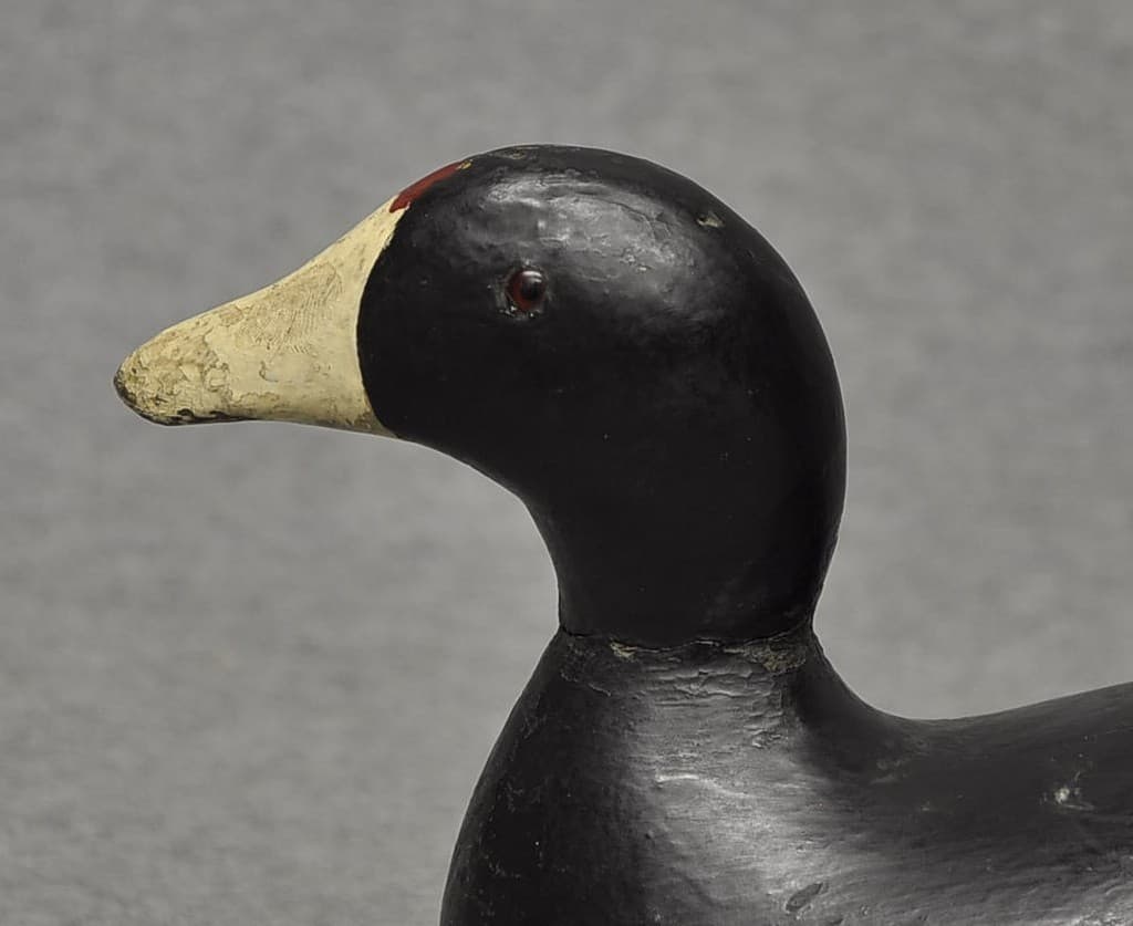 EVANS COOT DECOY DUCK DECOY NICE LINES HUNTER'S PAINT GLASS EYES CHIP IN TAIL 5