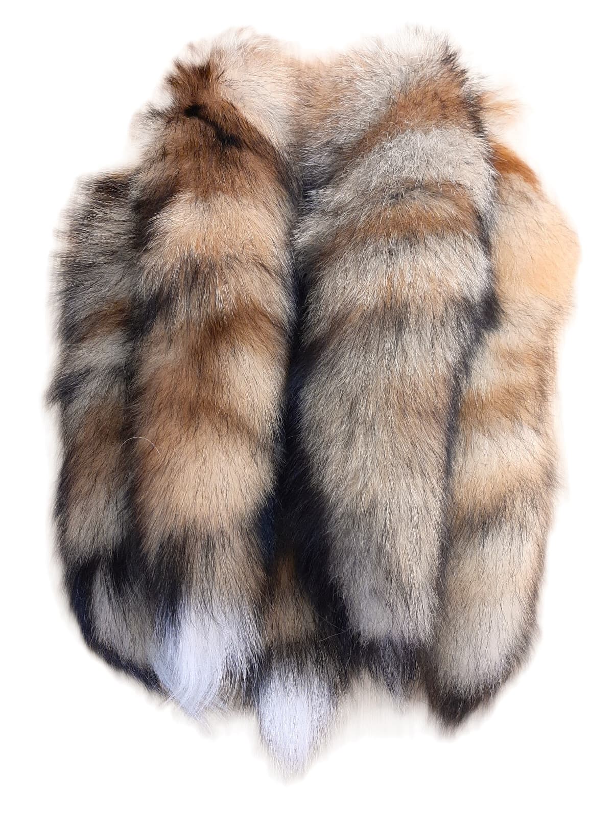 Red Fox Tail, 13-17" Tanned 5