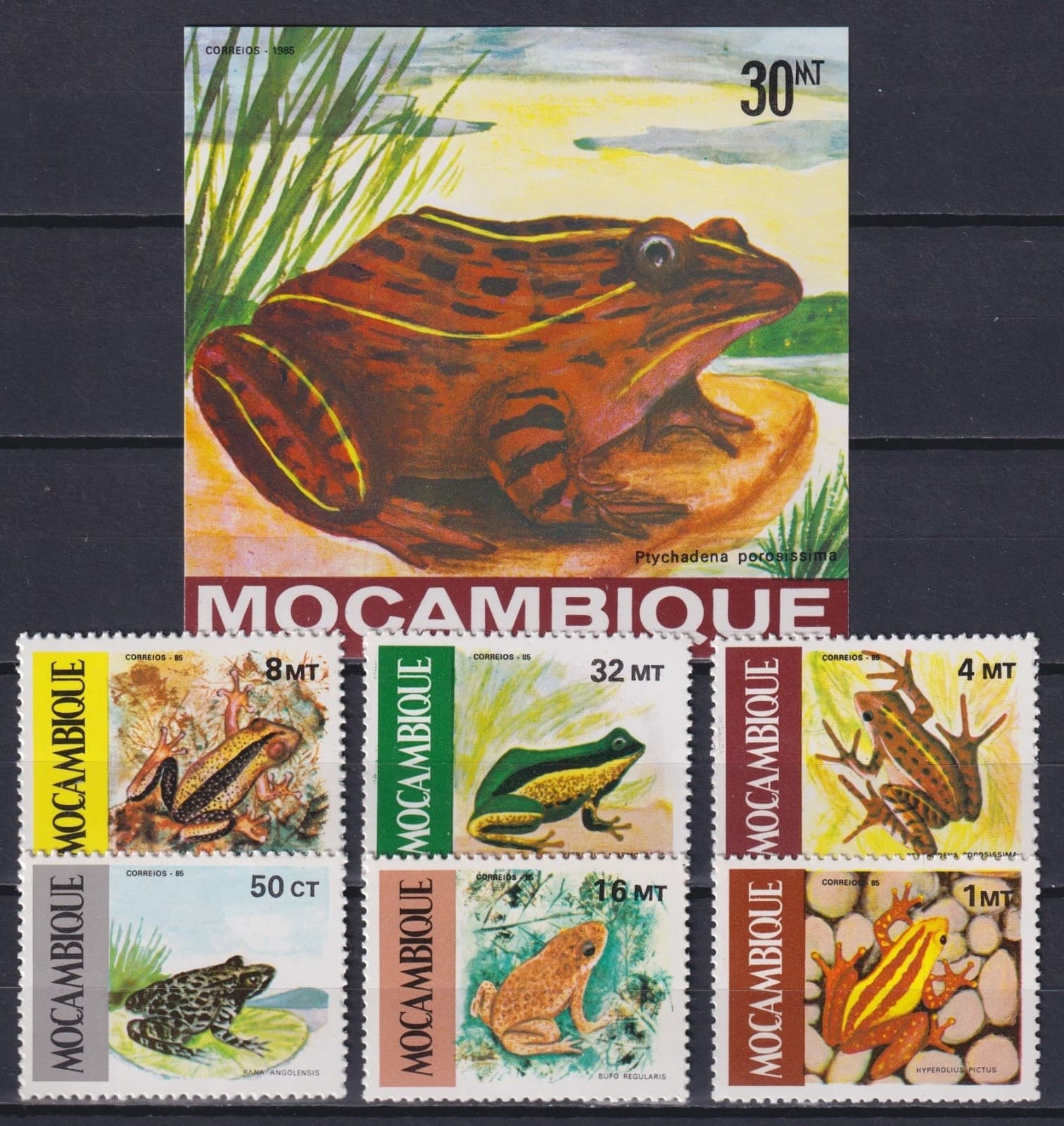 Mozambique 1985 Fauna, Amphibians, Frogs MNH**