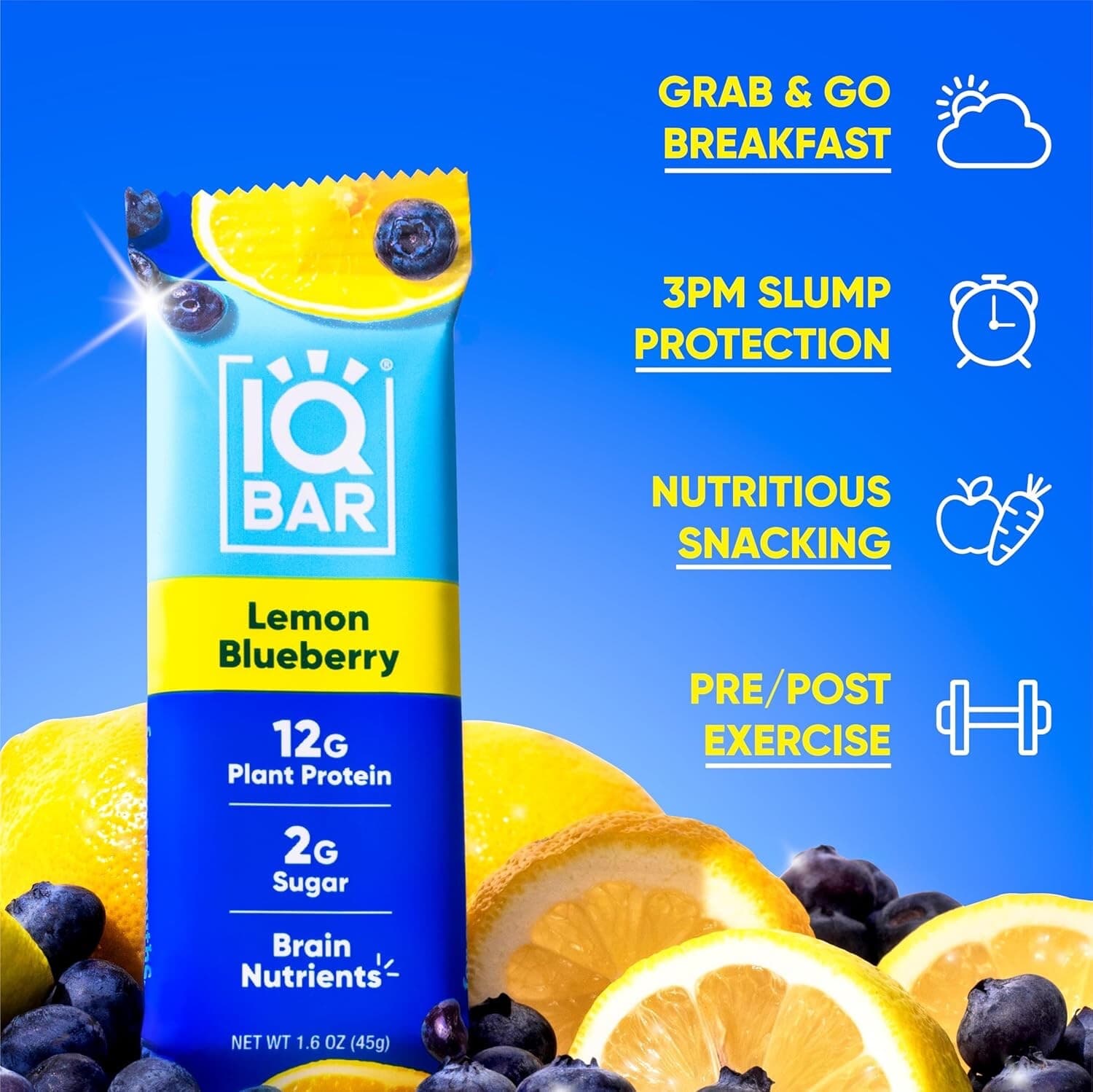 Brain and Body Plant Protein Bars - Lemon Blueberry - 12-Count Low Carb 4