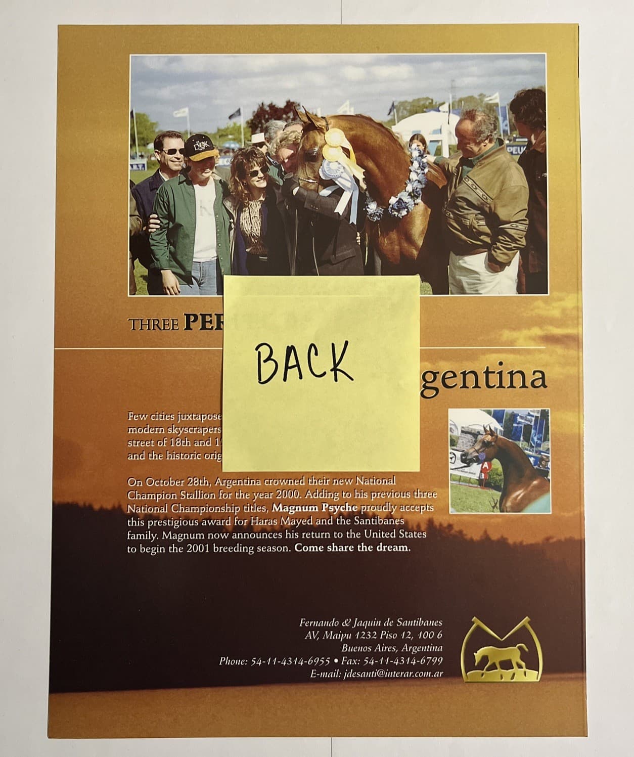 COVER ONLY * 2001 SCOTTSDALE ARABIAN HORSE SHOW PROGRAM FROM MARY HAGGARD PRINT 3