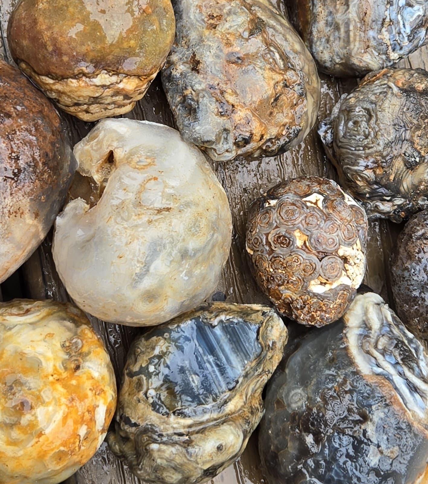 Oco Agate Geodes Whole - Mine Run Rough - 1 Pound Lb - Mostly Solid Agate 4