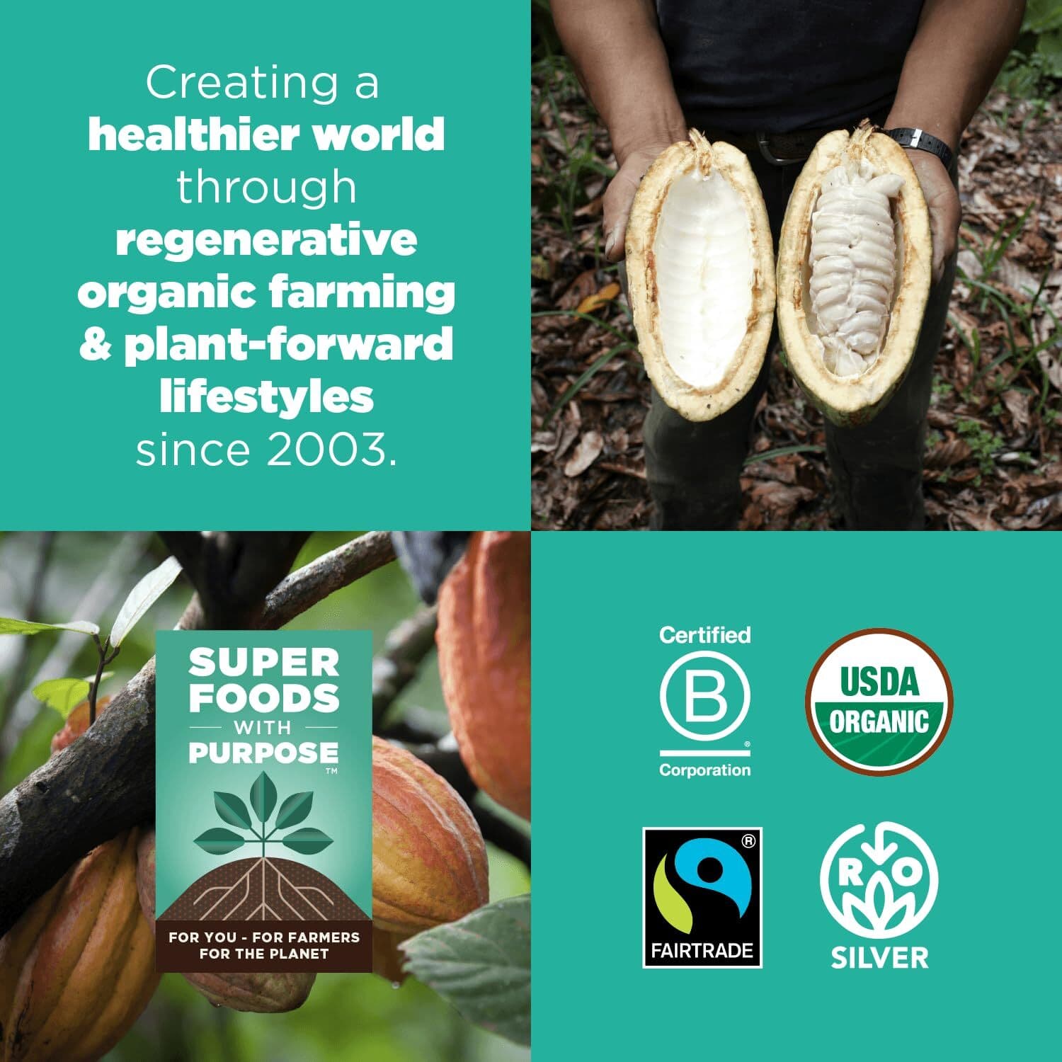 	Navitas Organics Cacao Powder 8oz. Bag 15 Serving Organic Non-GMO Gluten-Free	 5