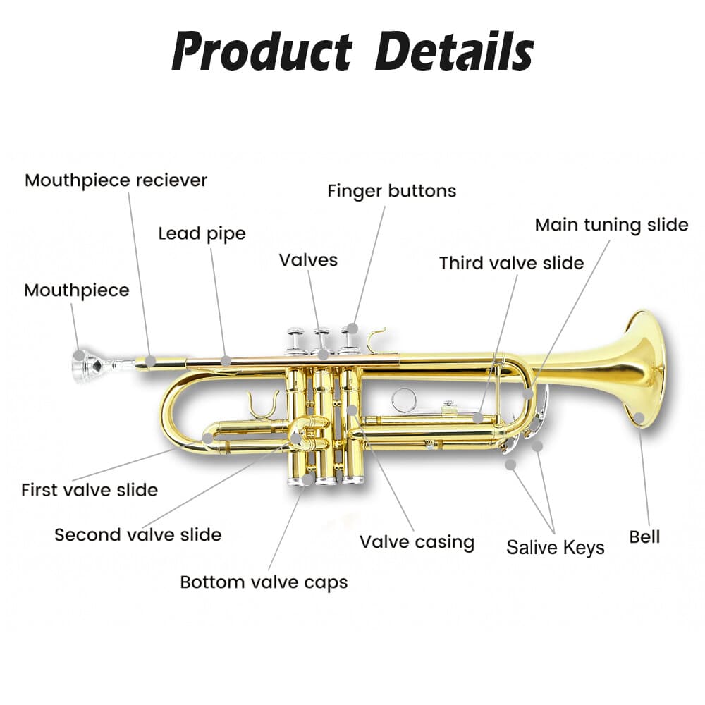 Student trumpet for beginners Bb brass trumpet instruments with carrying case 3